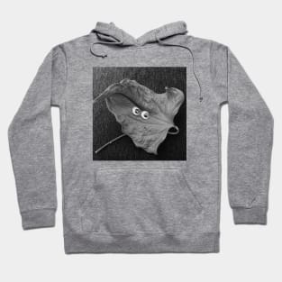 Googly Eyes #217 Hoodie